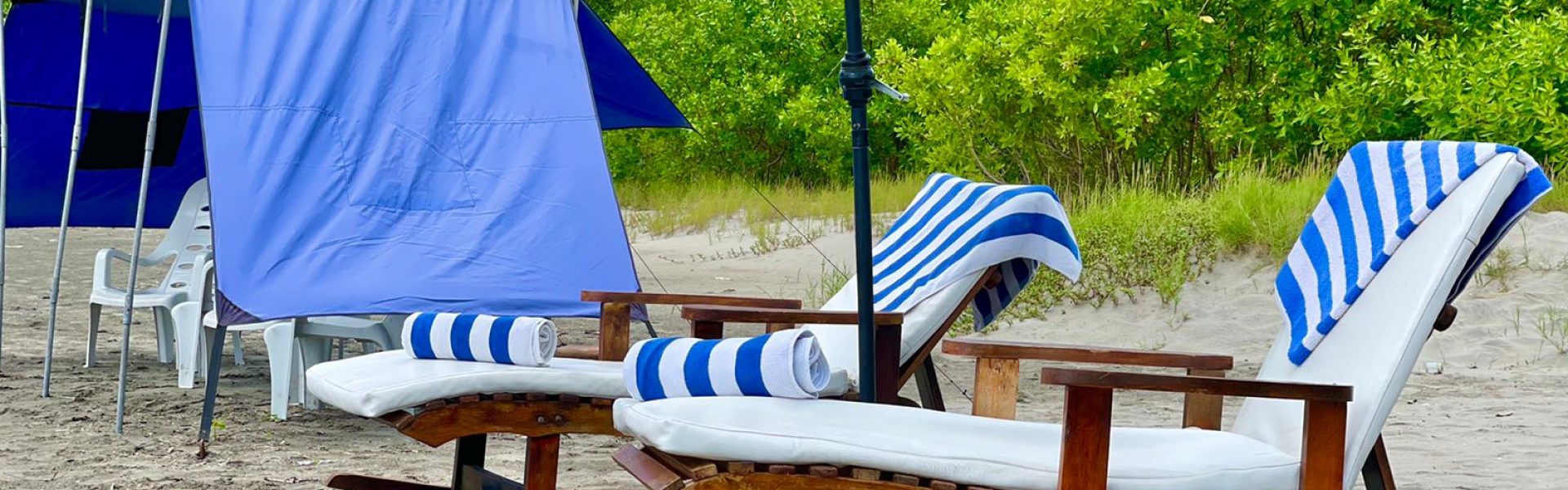 5db9cf50-2008-403e-a662-037cf73def0a