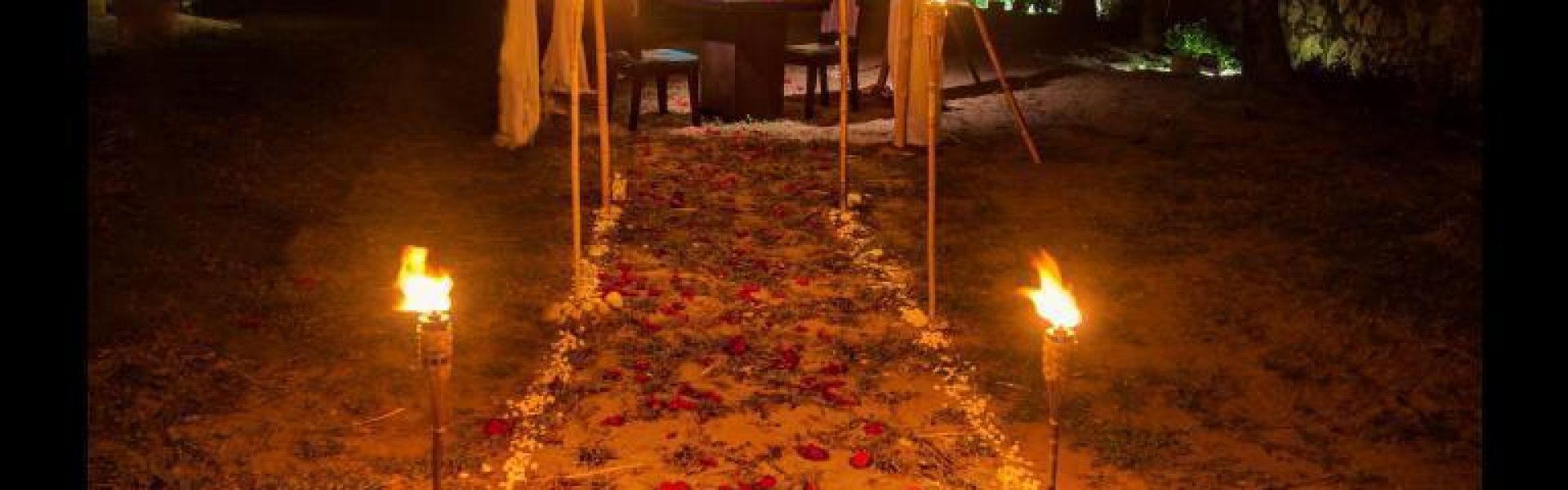 66d8a4b6-2052-4a60-8433-e0022df3f058