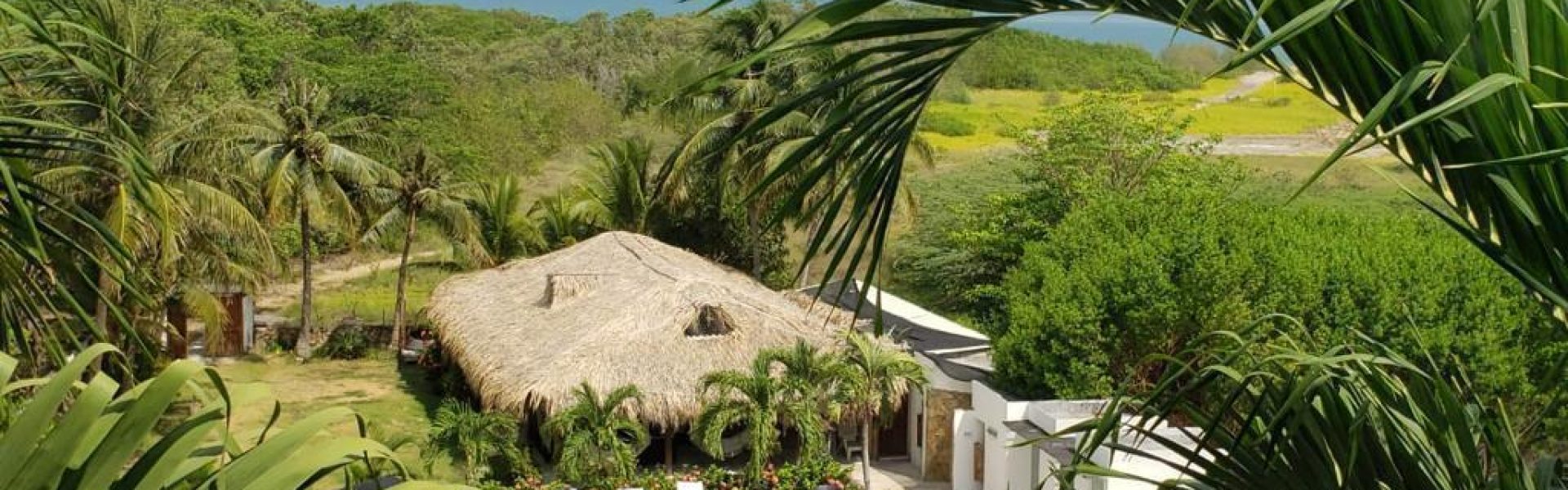 971566c0-9e80-454e-bc9b-c27ff6b1f6c8