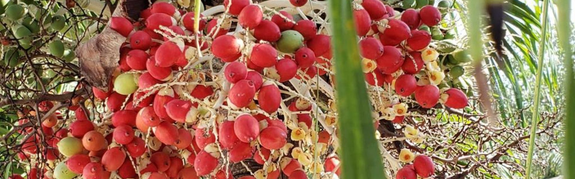 bdf76463-6e90-400b-9b00-6cfa5406702f