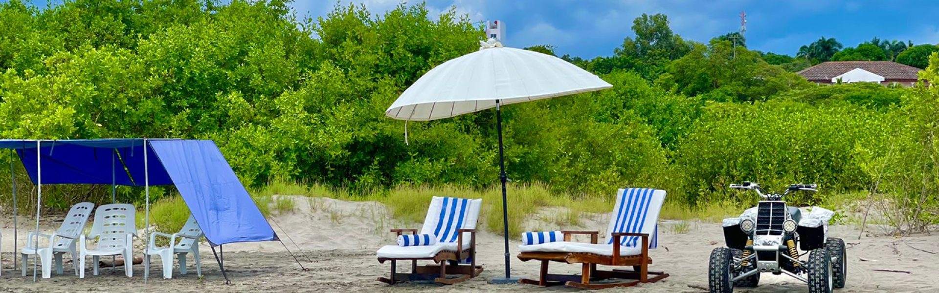 cc4c2e2f-ffe3-4912-8aac-4bdb35ba92d8