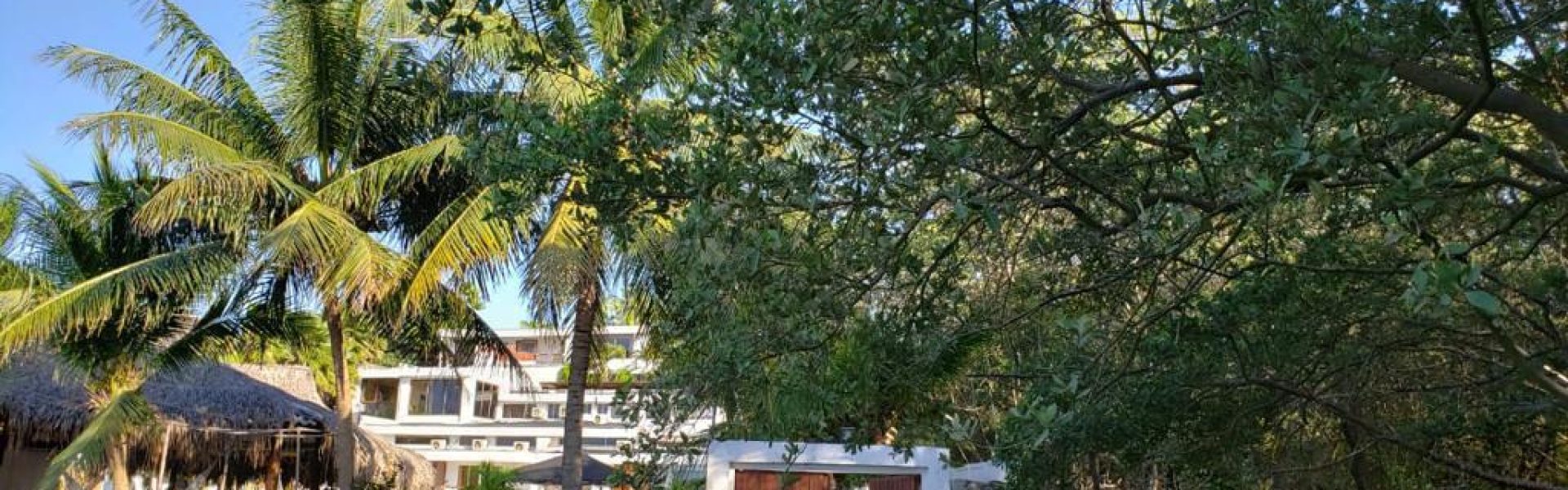 eafcce42-b021-4bf1-8d02-897d0a67d5d5