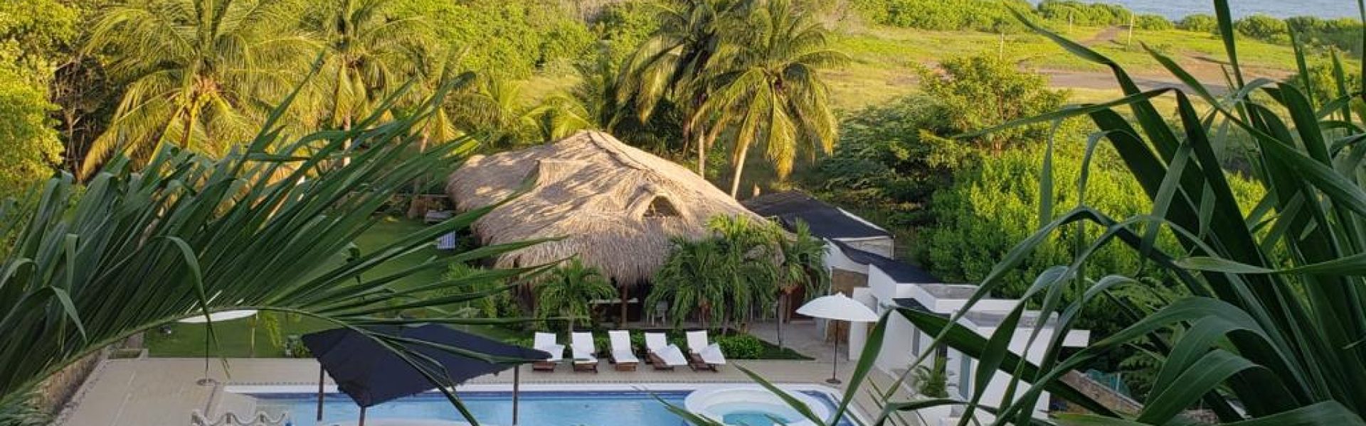 f890f67a-b520-4282-91d5-da1d6f7c1fd4